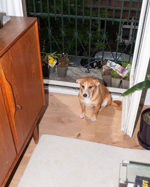 Jip<br>van den Toorn kitchen 1