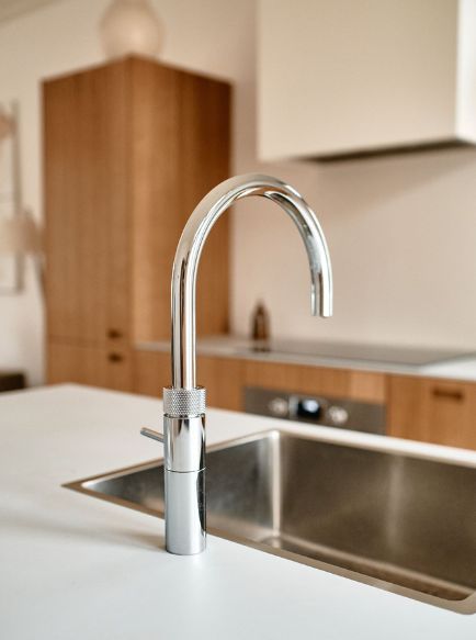 {{ $t('menu.sinks') }} Baboon keuken